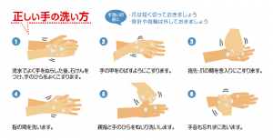 正しい手の洗い方