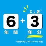 A06